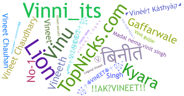 Никнеймы для Vineet