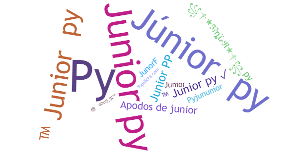 Никнеймы для Juniorpy