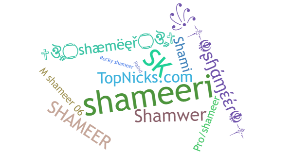 Никнеймы для Shameer