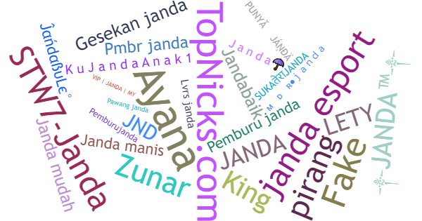 Никнеймы для Janda