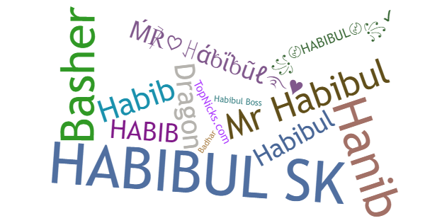 Никнеймы для Habibul