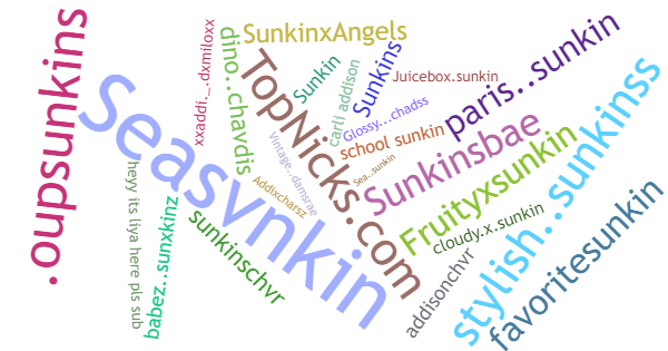 Никнеймы для Sunkin