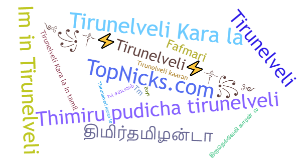 Никнеймы для Tirunelveli