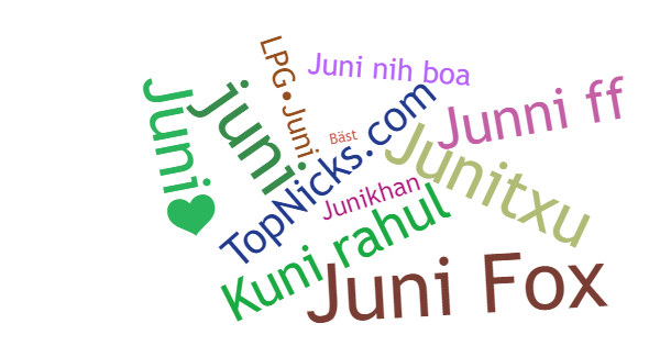 Никнеймы для Juni