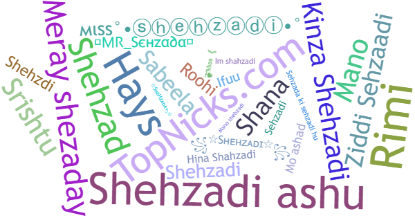 Никнеймы для Shehzadi